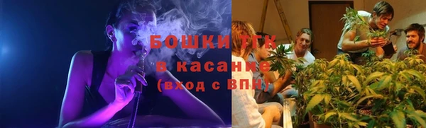 индика Братск