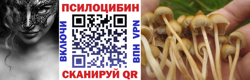 гидра зеркало  Невельск  Галлюциногенные грибы Magic Shrooms 
