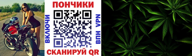 Шишки марихуана сатива Невельск